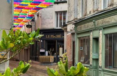 Studio vue Cathédrale Laon - Foto 16