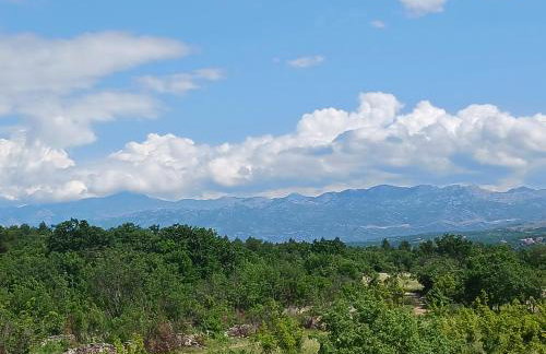 Apartmani Tanja Pridraga - Photo 7