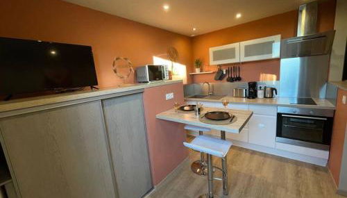 L’Oasis…Appt Balnéo-Terrasse. - Foto 4