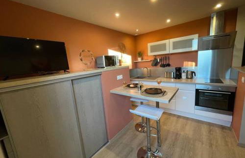 L’Oasis…Appt Balnéo-Terrasse. - Foto 4