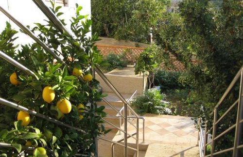 Apartments Martina - Photo 43