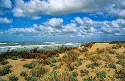 I Levrieri Venezia - Foto 52