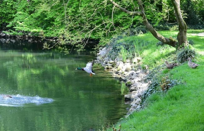 Apartment Near River Po and Cremona - Foto 33