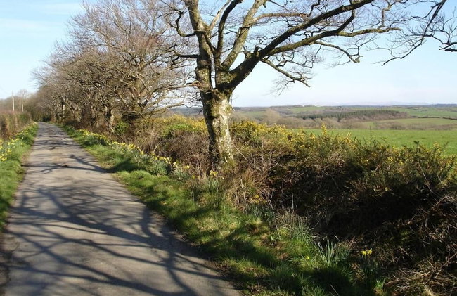 Leworthy Farmhouse - Photo 35