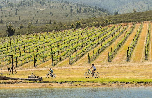 Fraaigelegen Farm - Photo 22