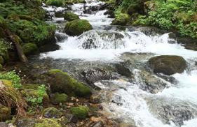Tarnawa Gold, Sauna, Jacuzzi, Grota solna, - Foto 41