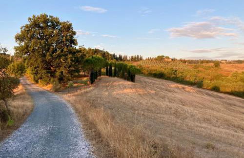 Agriturismo Sant'Emilia - Foto 20