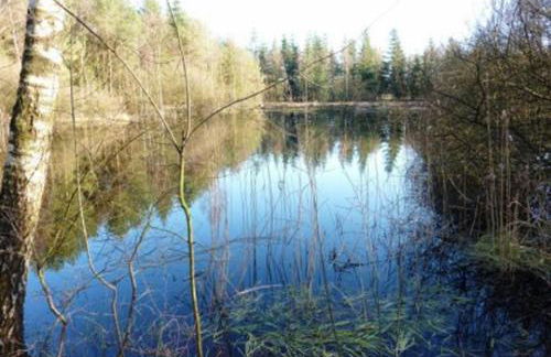 Casa Marianne - Foto 17