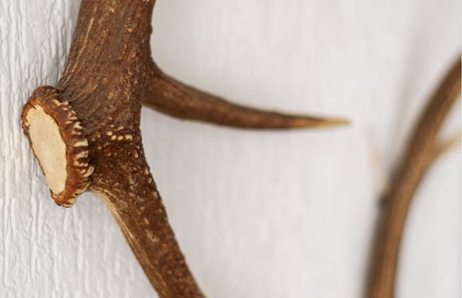 Orobie Master Guest apartment - Photo 20