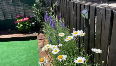 Casa Carabias Sigüenza - Foto 3, Garden