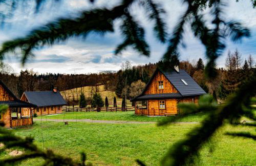 Osada Strusie Jajo w Bieszczadach - Foto 7