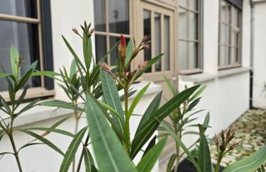 Loft Esprit & Lumière - Foto 12