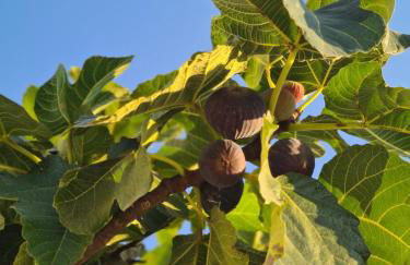 Stylish & Romantic Country House, Toti - Foto 21