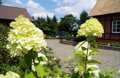 Buchenhof-Nordheide - Foto 7