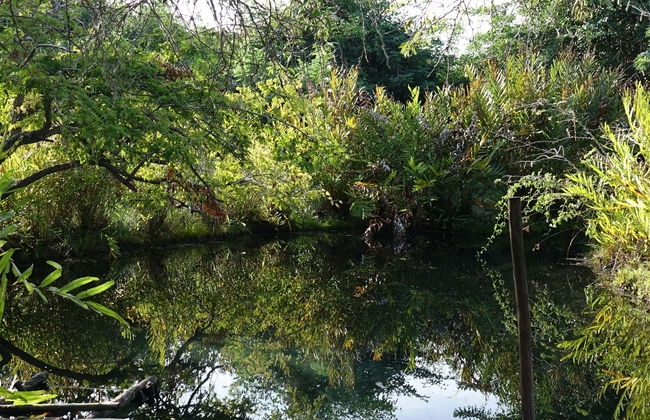 Excursión a las termas El Volcán - Foto 1