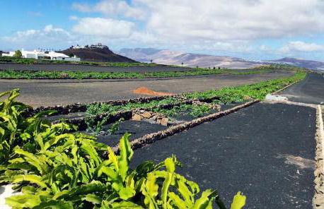 Casa Iraida Tao - Foto 41