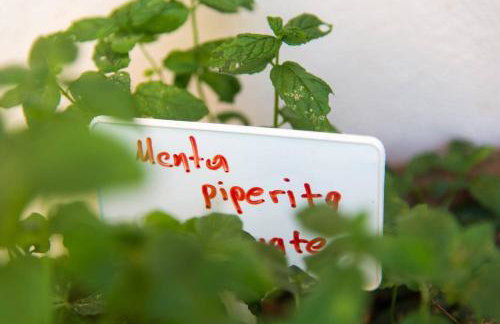 Agrilos Sea View House - Foto 33