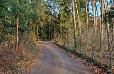 Waldhaus Dötlingen Ferienhaus im Naturpark - Foto 50