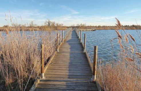 Nice Apartment In Le Sambuc With Wifi - Foto 8