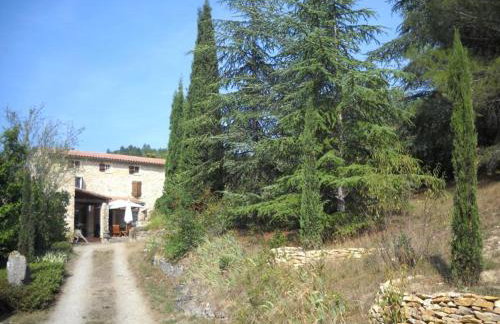 The Studio - Foto 15