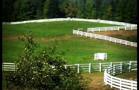 Fantastic Secluded Rental for a Large Group Getaway near East Branch, New York - Photo 31