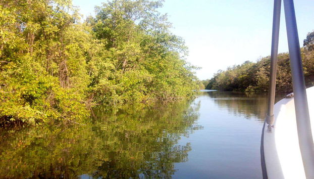 Sailing along the Parnaiba river