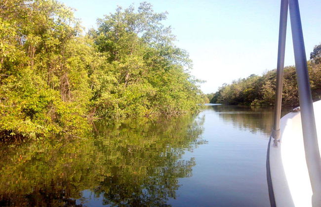 Tour privato del delta del fiume Parnaíba in fuoristrada - Foto 4