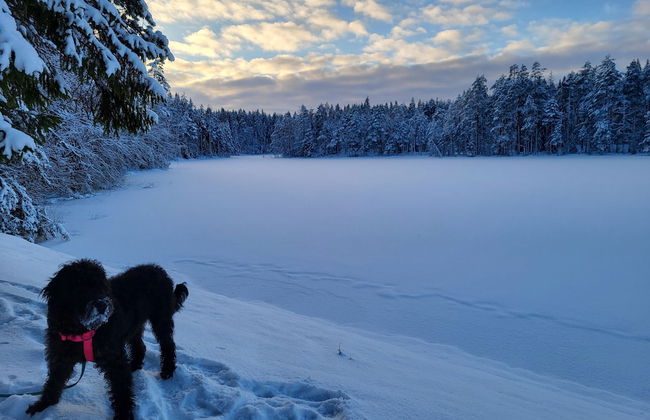 Polku Hotelli - Photo 73