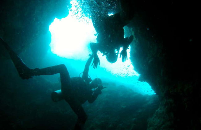 Sail Rock Diving - Foto 7