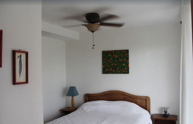 CRParaiso Main House - Foto 3