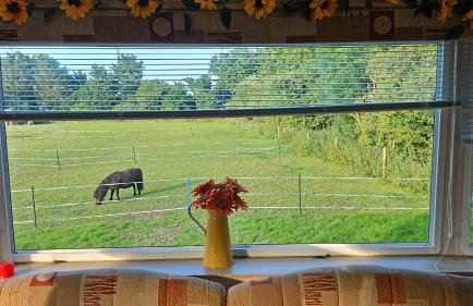 Equestrian Retreat - Sleeps 4 & Bbq - Foto 31