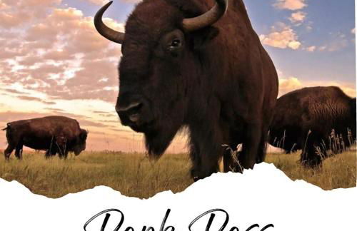 Johnny Cash "rambler" On Main - Foto 32