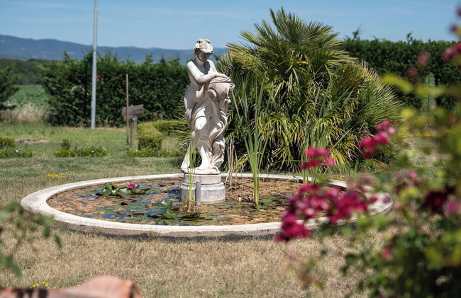 Podere San Giuseppe - Foto 41