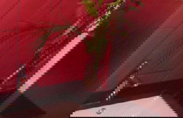 Serra da Estrela Seven Rooms 3 Suites Villa In s - Foto 41