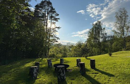 Forest Inn Berest - Foto 7