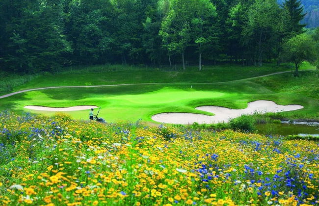 Weiherhof Comfortable Holiday Residence - Foto 12