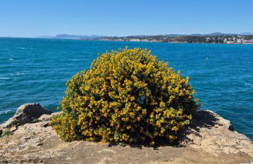 Studio avec rez de jardin - Foto 38