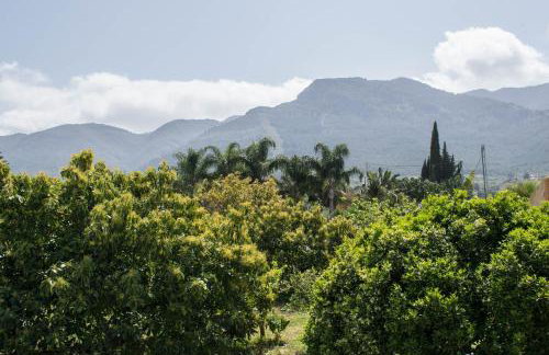 Finca Andaluz - Foto 15