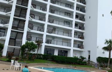 Amazing and Spectacular ocean and beach views in Galveston - Photo 9