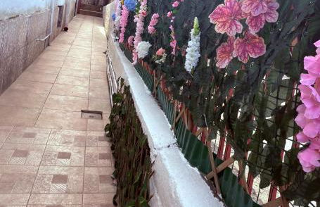 Home Diamond - Photo 25