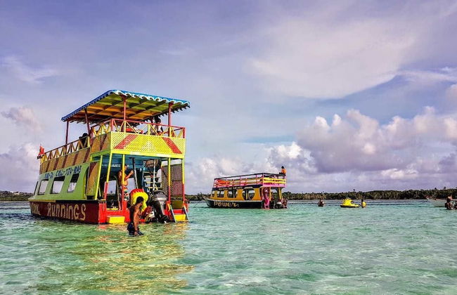 Birdie's Nest - Foto 41