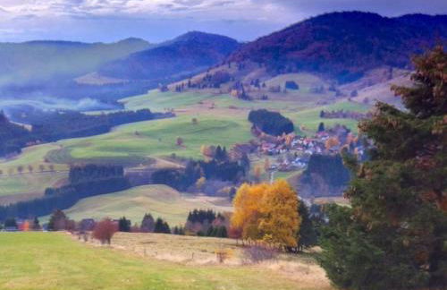 Black Forest farmhouse Bernau - Foto 23