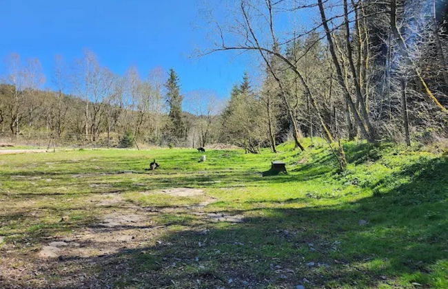 Apartment in Wildemann Near Harz Forest - Foto 24