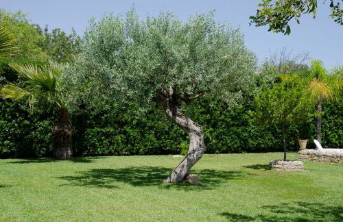 Antica Dimora Arancio Val Di Noto 10 minuti dal mare Free Parking - Foto 44