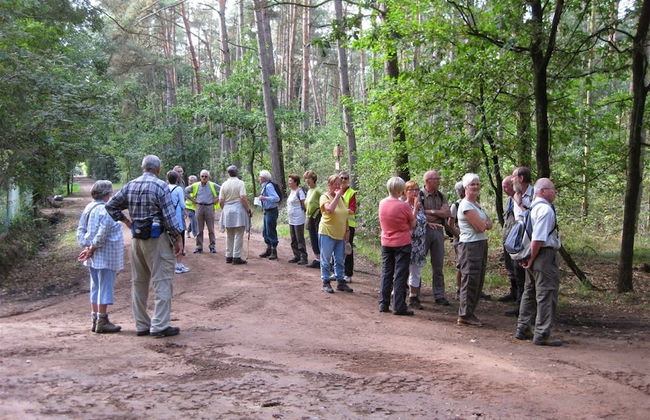 Spacious 6-person Chalet in Antwerp - Foto 21