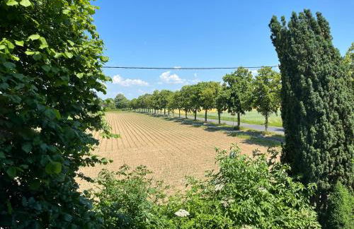 Idyllische Wohnung mit Weitblick - Foto 12