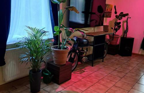 Exclusives Ferienhaus am Kulkwitzer See - Photo 47