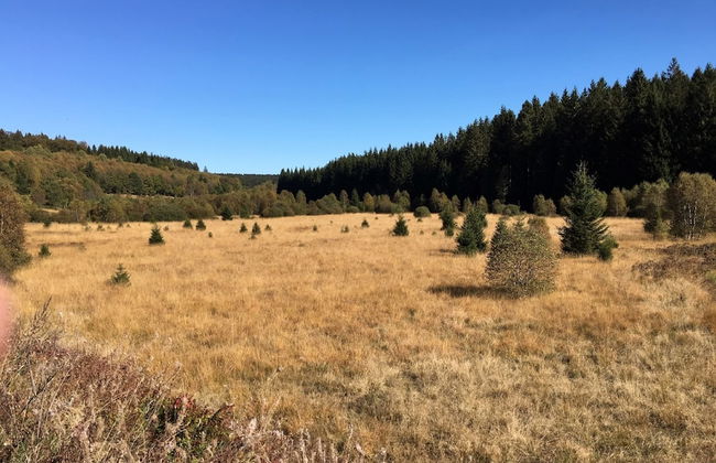 Charming Fens Family Home - Photo 36