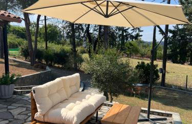 House in the Woods - Foto 5