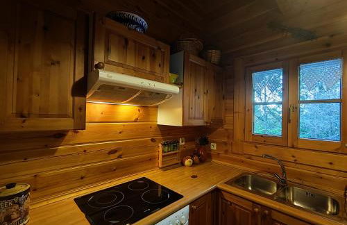 El Pi Solitari - Photo 18